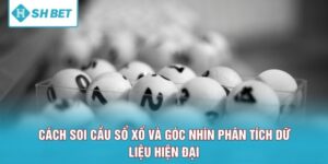 Cách Soi Cầu Sổ Xố Và Góc Nhìn Phân Tích Dữ Liệu Hiện Đại