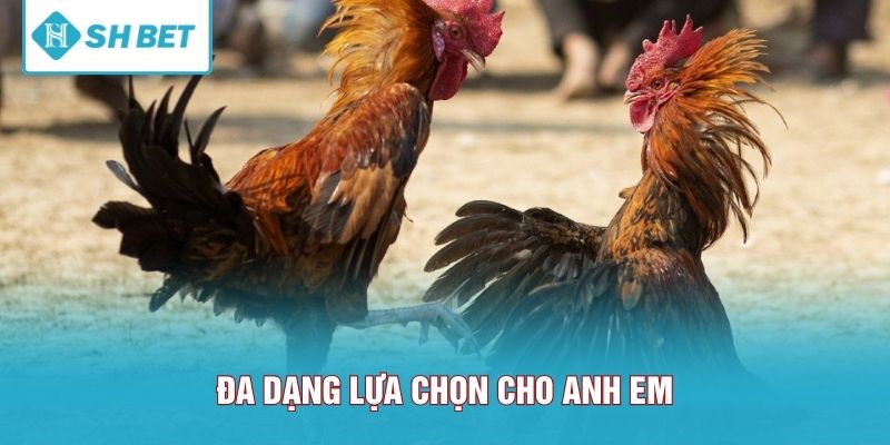 Đa dạng lựa chọn cho anh em