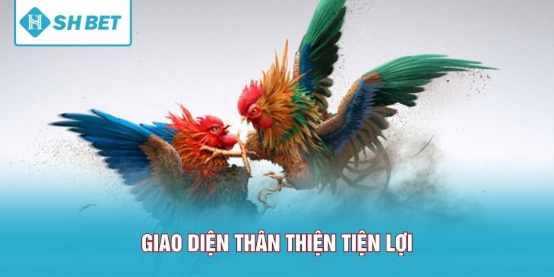 Hình ảnh chân thực và rõ nét