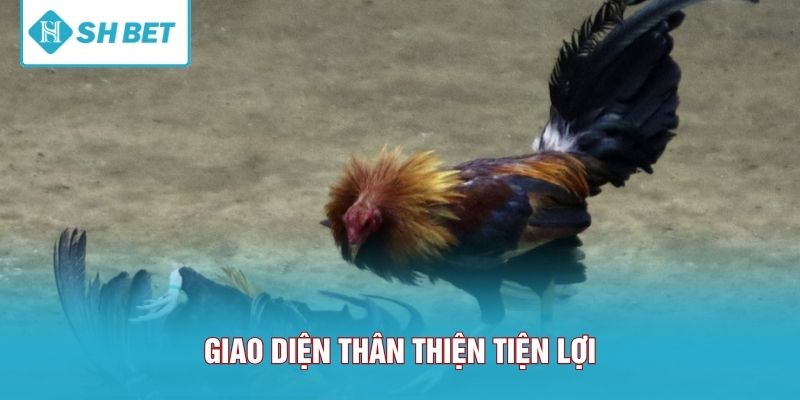 Giao diện thân thiện tiện lợi