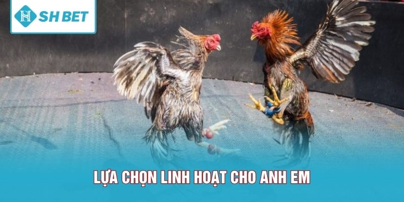 Lựa chọn linh hoạt cho anh em
