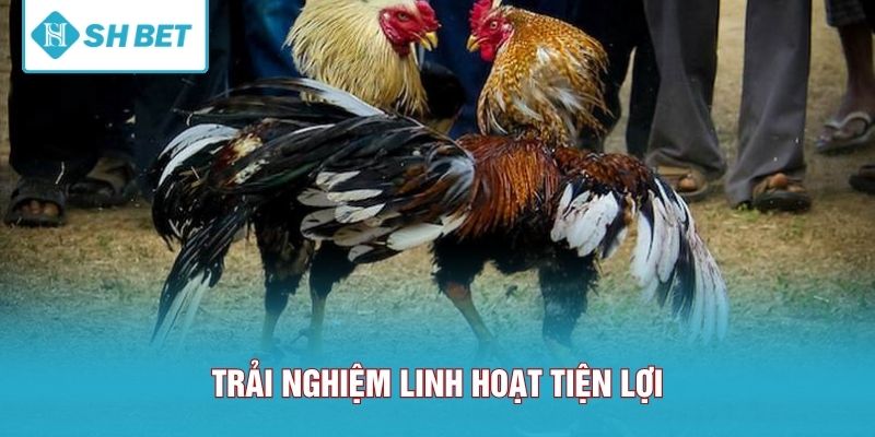 Trải nghiệm linh hoạt tiện lợi