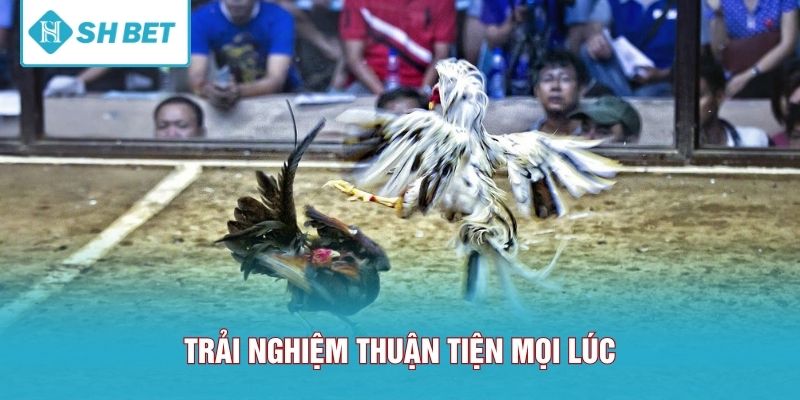 Trải nghiệm thuận tiện mọi lúc