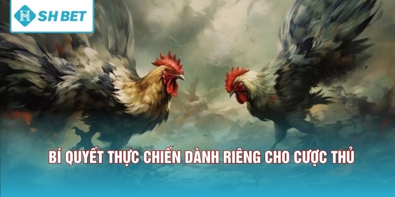 Bí quyết thực chiến dành riêng cho cược thủ.