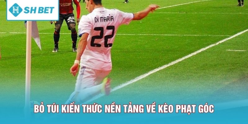 Bỏ túi kiến thức nền tảng về kèo phạt góc