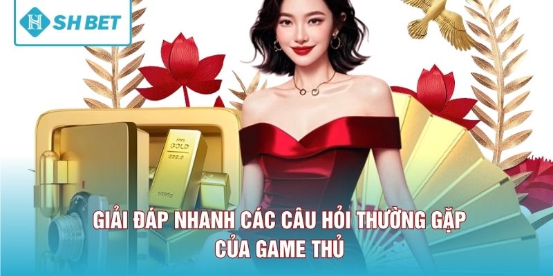 Giải đáp nhanh các câu hỏi thường gặp của game thủ 