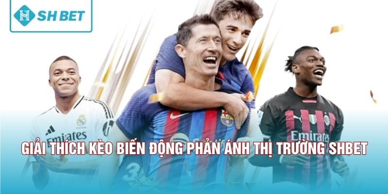 Giải thích kèo biến động phản ánh thị trường SHBET 