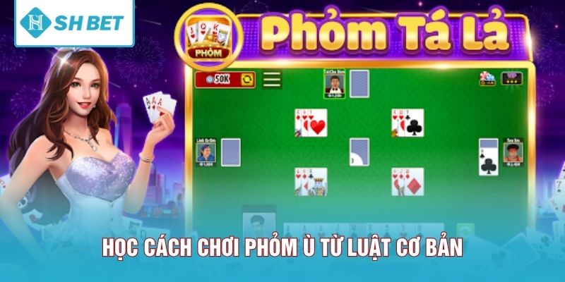 Học cách chơi Phỏm Ù từ luật cơ bản