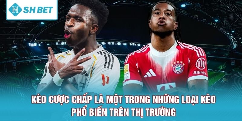Kèo cược chấp là một trong những loại kèo phổ biến trên thị trường