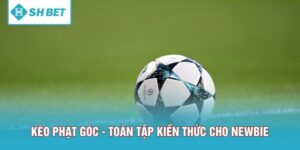 Kèo Phạt Góc - Toàn Tập Kiến Thức Dành Riêng Cho Newbie