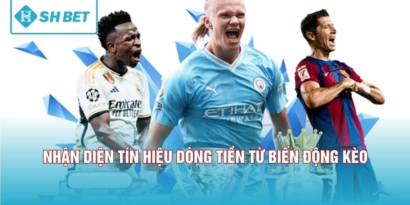 Nhận diện tín hiệu dòng tiền từ biến động kèo 