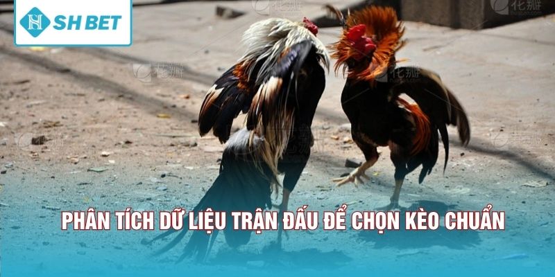 Phân tích dữ liệu trận đấu để chọn kèo chuẩn.