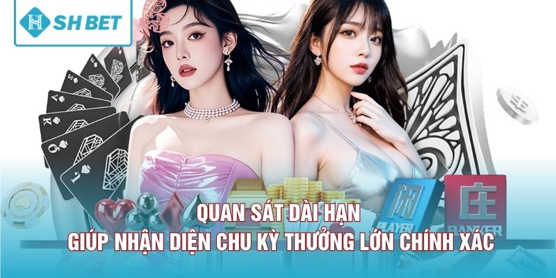 Quan sát dài hạn giúp nhận diện chu kỳ thưởng lớn chính xác hơn nhiều 