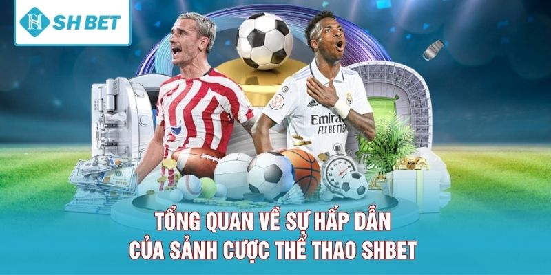 Tổng quan về sự hấp dẫn của sảnh cược thể thao SHBET