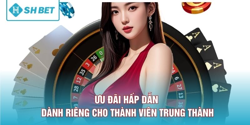 Ưu đãi hấp dẫn dành riêng cho thành viên trung thành.